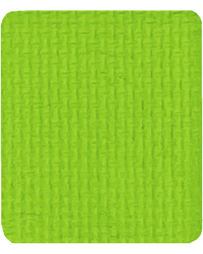Gavissi Beauty - "AVOCADO" SINGLE LINER PAN (MATTE)