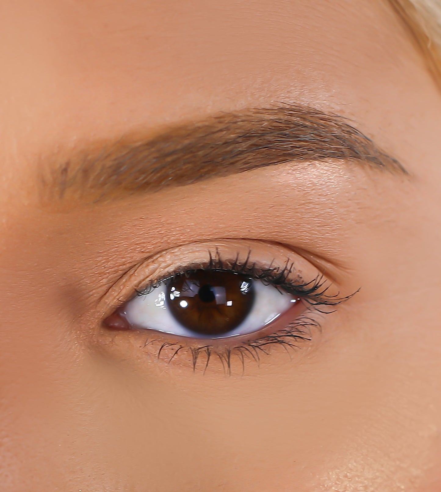 Lurella Cosmetics - 3D Mink Eyelashes - Dynamic
