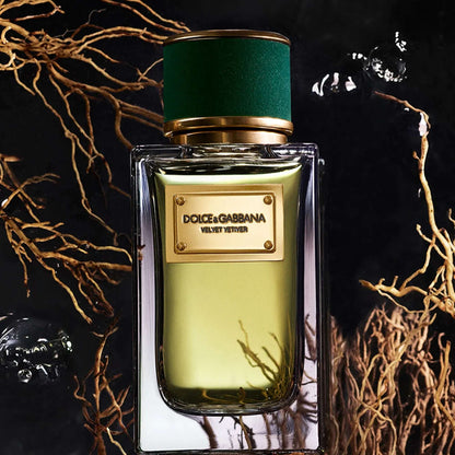 Dolce & Gabbana Velvet Vetiver Eau De Parfum